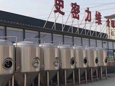 河北精酿啤酒设备厂—市场规模与跨界新需求
